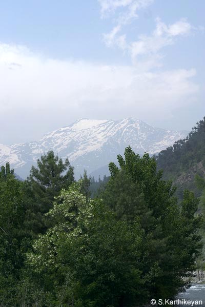 crw_8173-copy.jpg